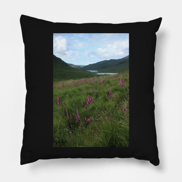 Field of foxgloves II Pillow by orcadia