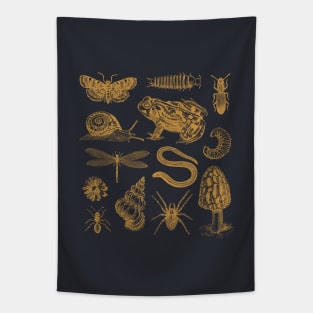 Goblincore Frogs, Snails, Moths, and Mushrooms in a Vintage Biology Aesthetic Tapestry