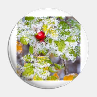 Rose hip and frozen leaves Pin