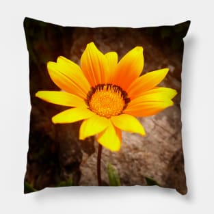 Light in the Darkness Pillow