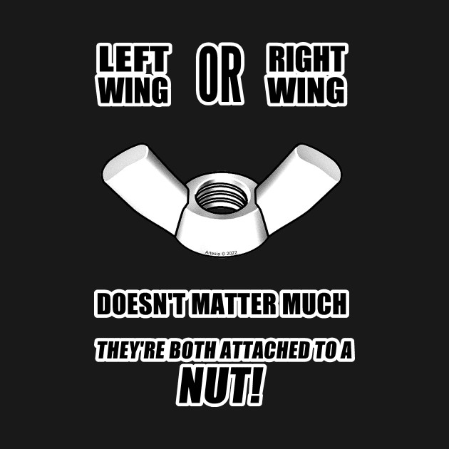 Left Wing Or Right Wing by jrolland