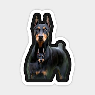 doberman and his son Magnet