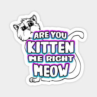 Are You Kitten Me Right Meow Magnet