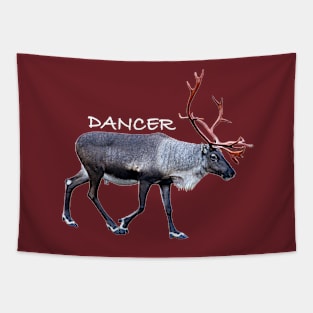 Dancer Tapestry