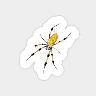 Golden Orb Weaver Magnet