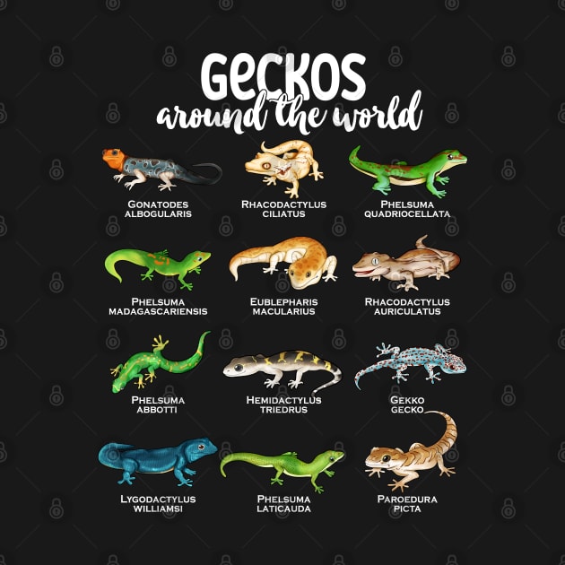 Geckos around the world - Types of Geckos by Modern Medieval Design