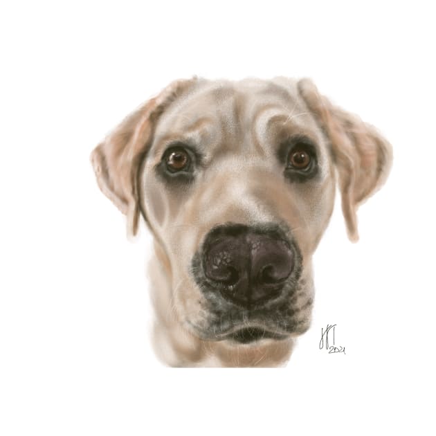 A Sweet Labrador Puppy by LITDigitalArt