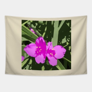 Tradescantia "Indian Paint" pink flowers Tapestry