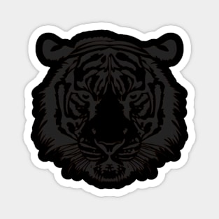 Tiger Color Distribution Magnet