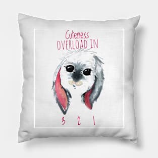 Cuteness Overload Incoming Pillow