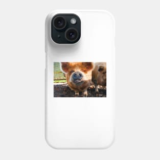 New Zealand Kunekune Pig Phone Case