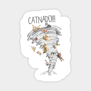 Catnado Magnet