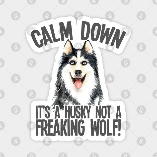 Husky - Calm Down Its A Husky Not A Freaking Wolf Magnet by Kudostees