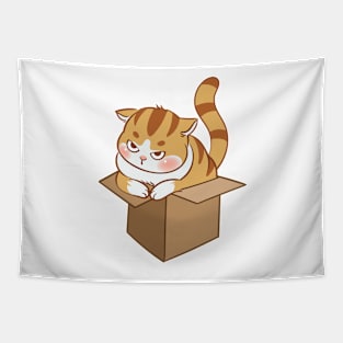 Orange cat in the box Tapestry