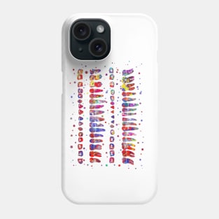 Human teeth diagram Phone Case