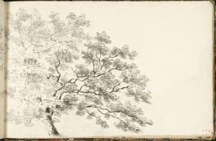 A Tree, with a Line of Trees Beyond, 1789 Magnet