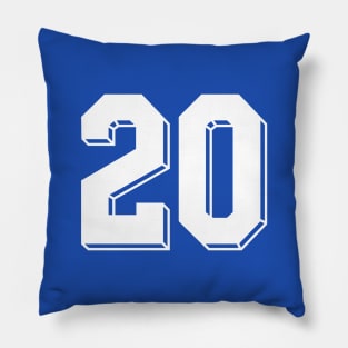 20 Pillow