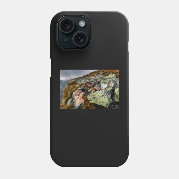 Alpine landscape with rocks Phone Case by naturalis