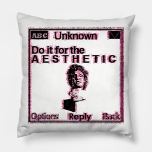 Do it for the aesthetic Pillow