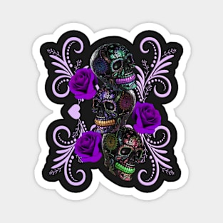 Triple Black Day Of The Dead Skulls Purple Roses Magnet