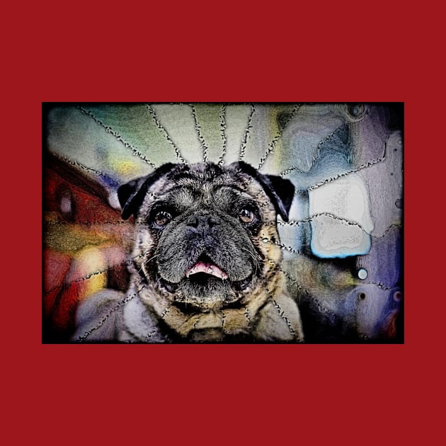 Hypnotic Gaze - Pug Dog by Highseller