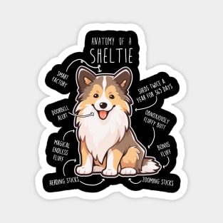 Sheltie Shetland Sheepdog Anatomy Magnet