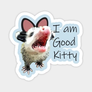 Good Kitty Opossum Magnet