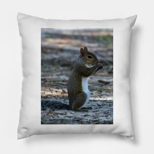 Little Squirrel Pillow