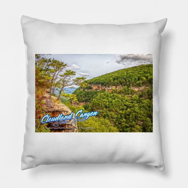 Cloudland Canyon State Park Pillow by Gestalt Imagery