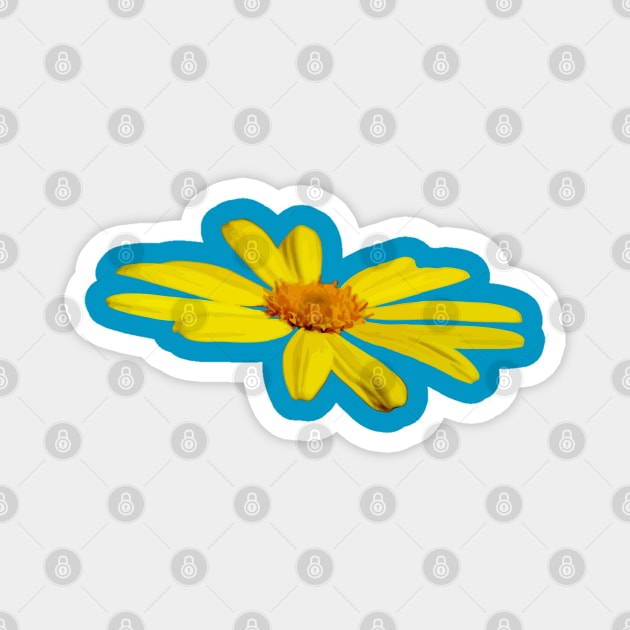 Floating Butterfly Marguerite Daisy Magnet by taiche