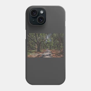 Cumberland Island National Seashore, Georgia Phone Case