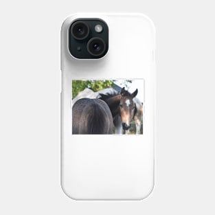 TB COLT Phone Case