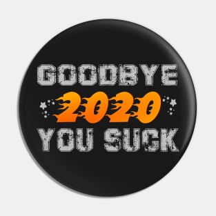 Goodbye 2020 you suck Pin