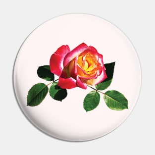 Red and Yellow Rose Pin