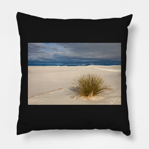 Lone Yucca Pillow by jvnimages