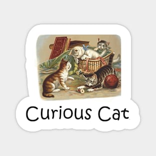 Curious Cat Magnet