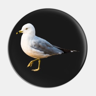 Seagull on Summer Beach Pin