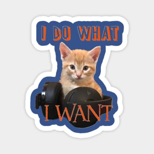 Gamer Cat - I do what I want Magnet