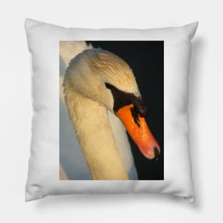 Mute Swan Pillow