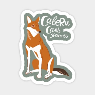 Caberu the Ethiopian Wolf #1 Magnet