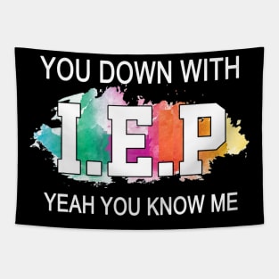 Sped Teacher Shirt You Down With I.E.P Yeah You Know Me Tapestry