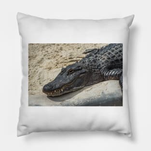 Relaxing Alligator Pillow