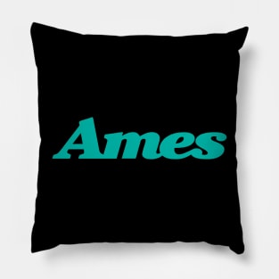 Ames Department Store Pillow