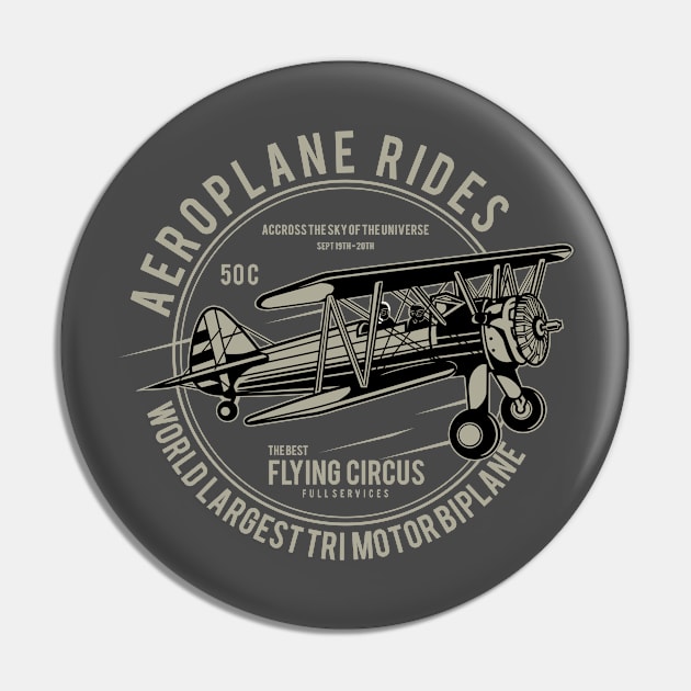 Aeroplane Rides Pin by lionkingdesign