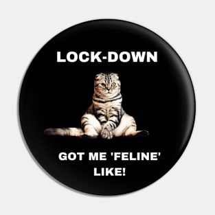 Lock-down got me 'feline' like! Pin