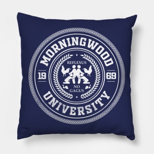 Morningwood University Pillow