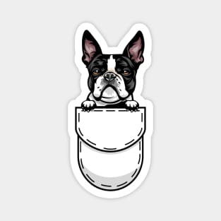 Funny Boston Terrier Pocket Dog Magnet