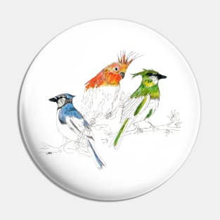 Bird lovers picture Pin