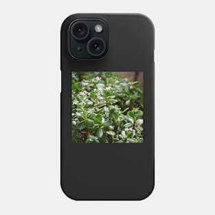 Flowers in the Rain Phone Case