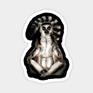 Lemur Magnet